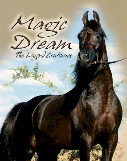 Magic Dream